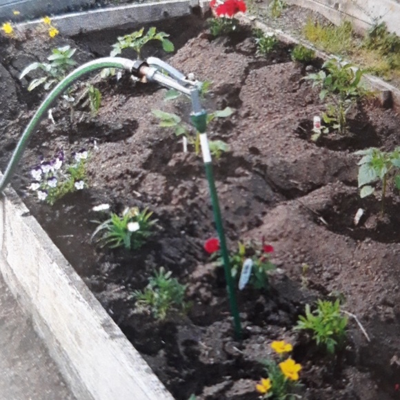 PLEASE SHARE ....www.wiserwatering.com - Picture 6 of 8